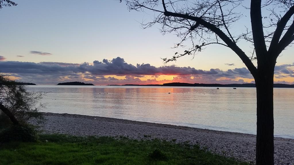 Apartmani Slavulj Fažana Exteriör bild